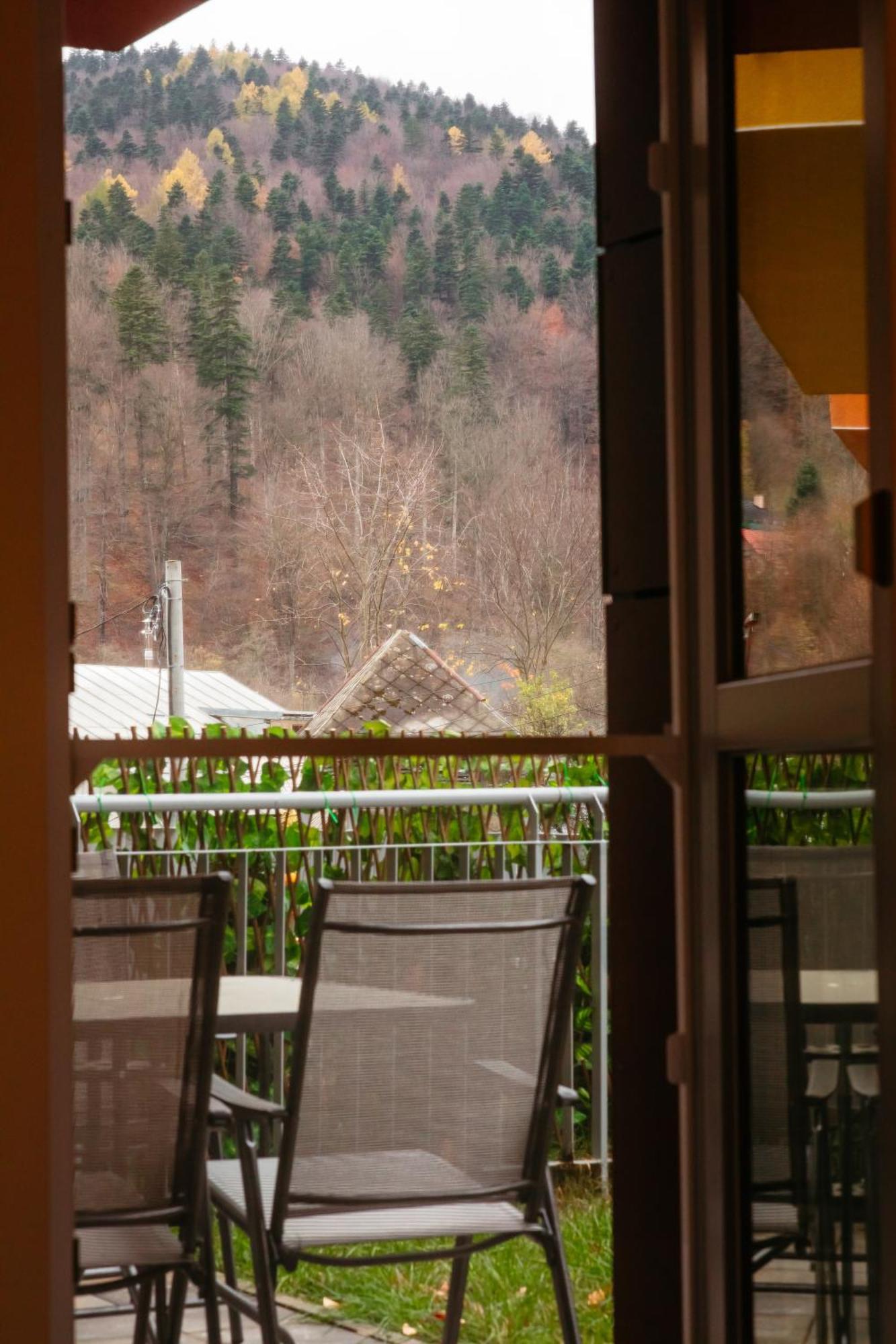 Mountain Retreat Appartement Sinaia Buitenkant foto